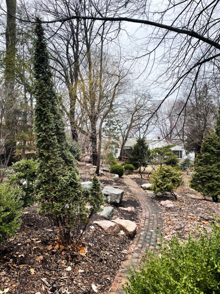 Spring Gardening Plans - A view of a backyard garden in early spring.