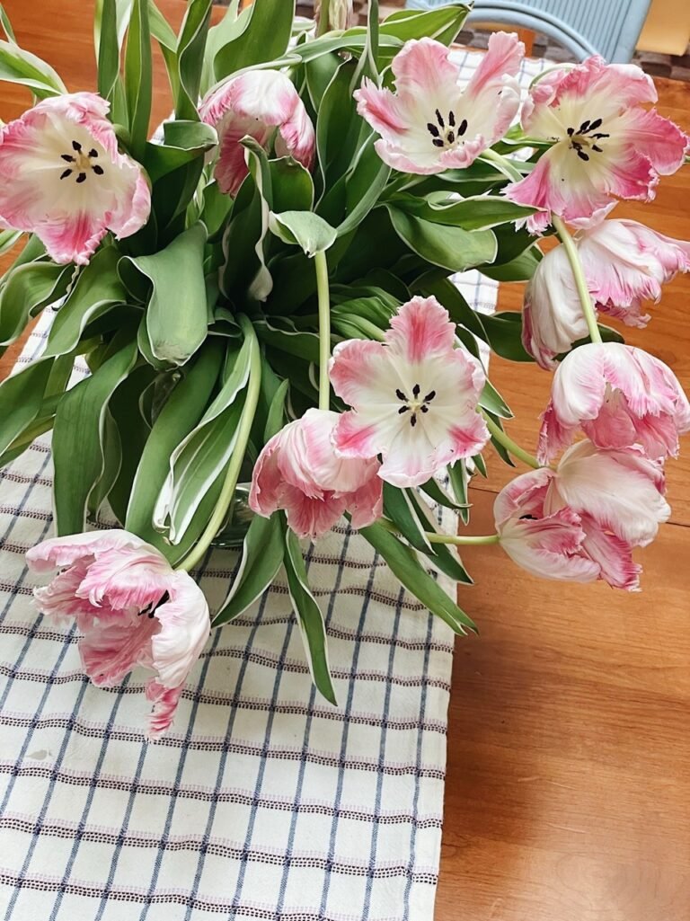 FAQ sur le gel des dépenses : voici à quoi cela ressemble dans ma vie